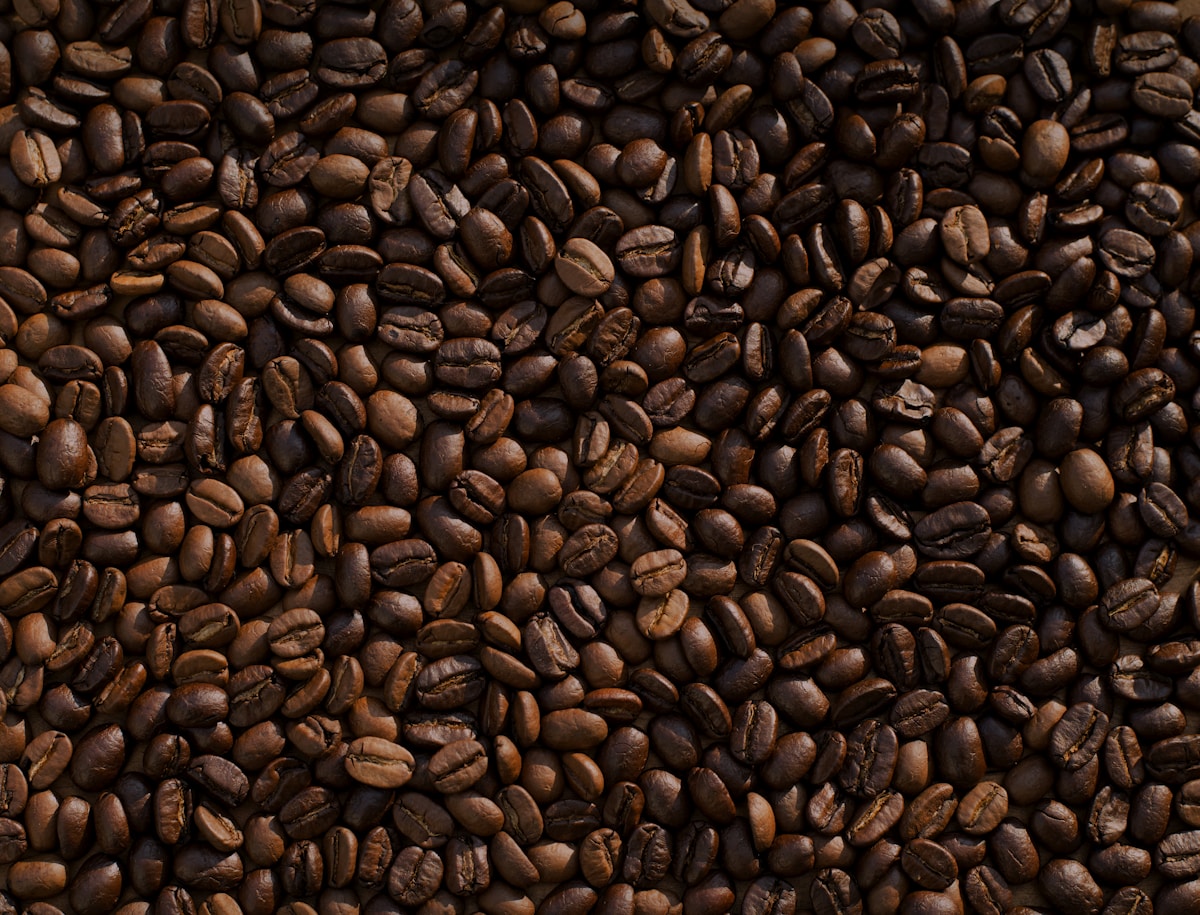 Close-up of roasted coffee beans